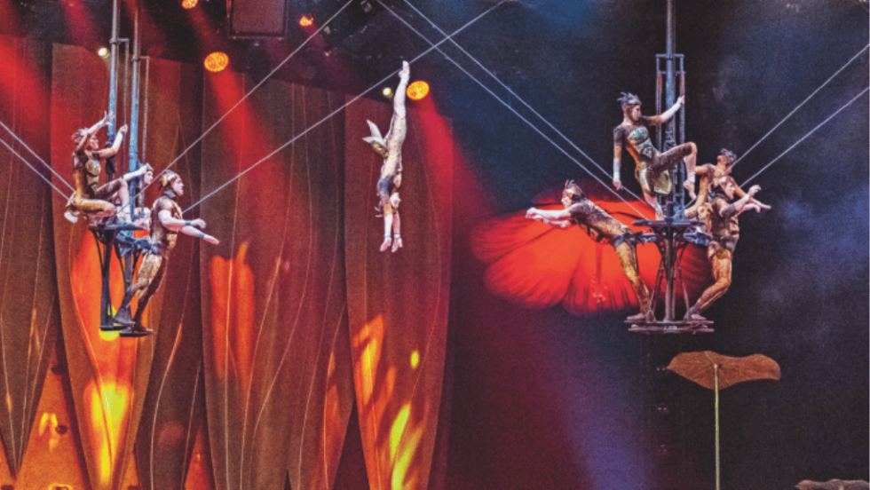 Cirque du Soleil, «OVO»